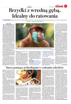 Wydanie główne - strona 11