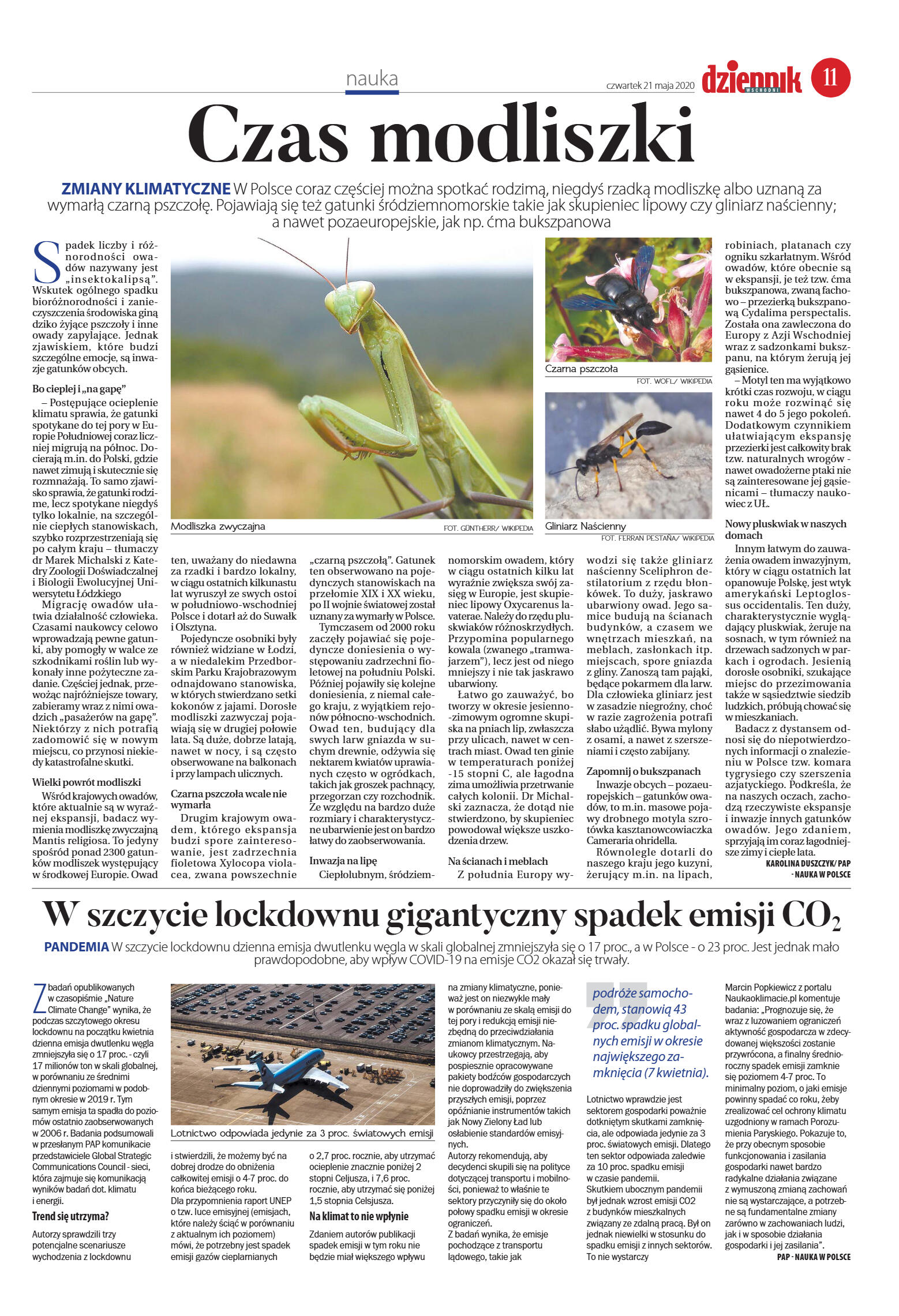 Wydanie główne - strona 11