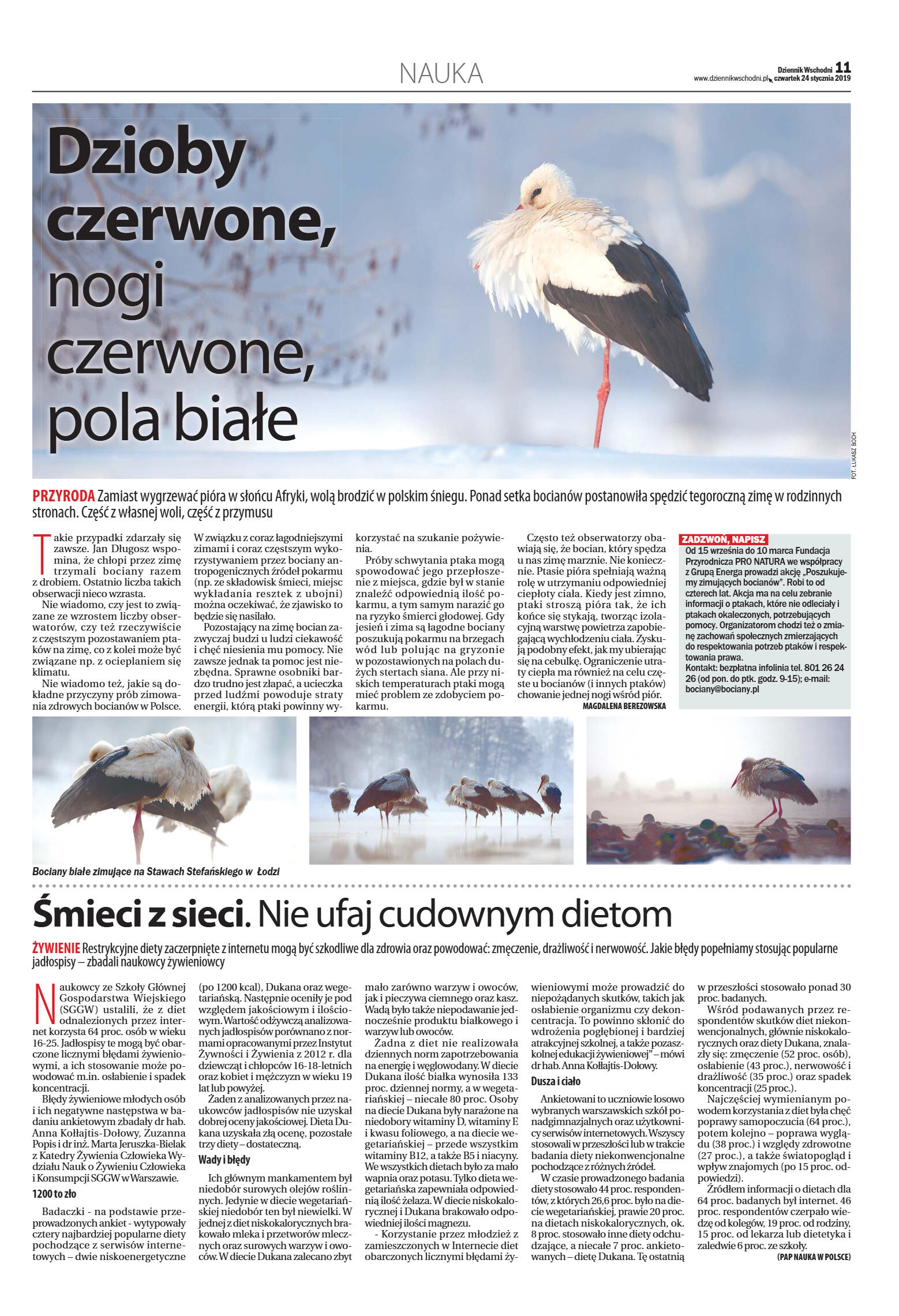 Wydanie główne - strona 11