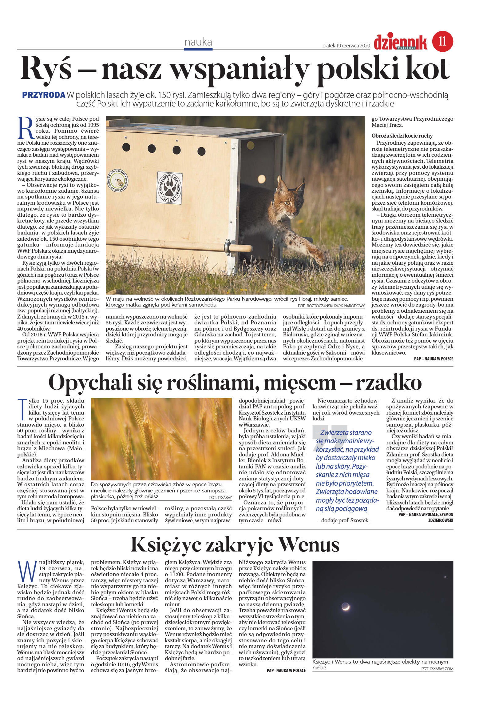 Wydanie główne - strona 11