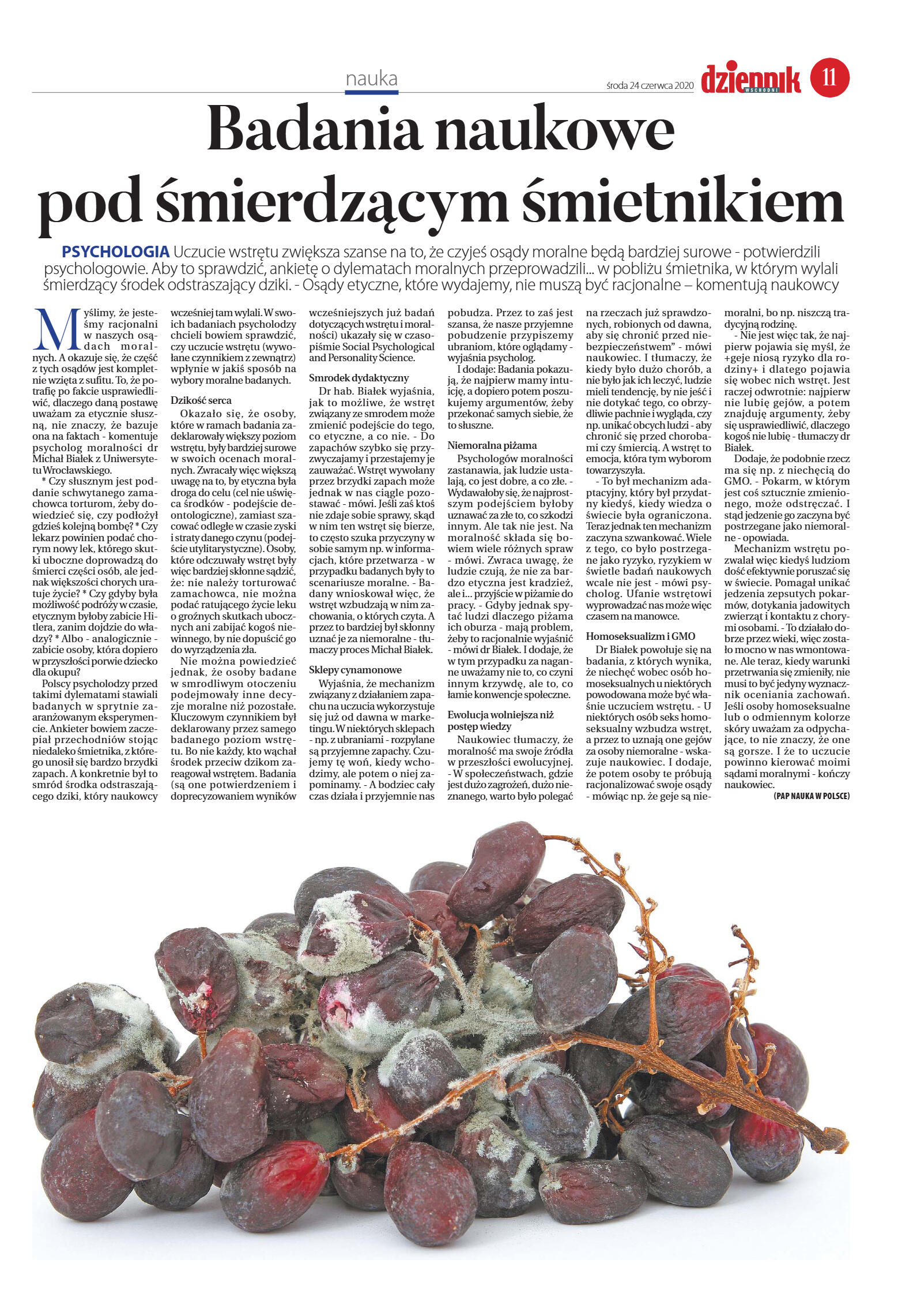 Wydanie główne - strona 11