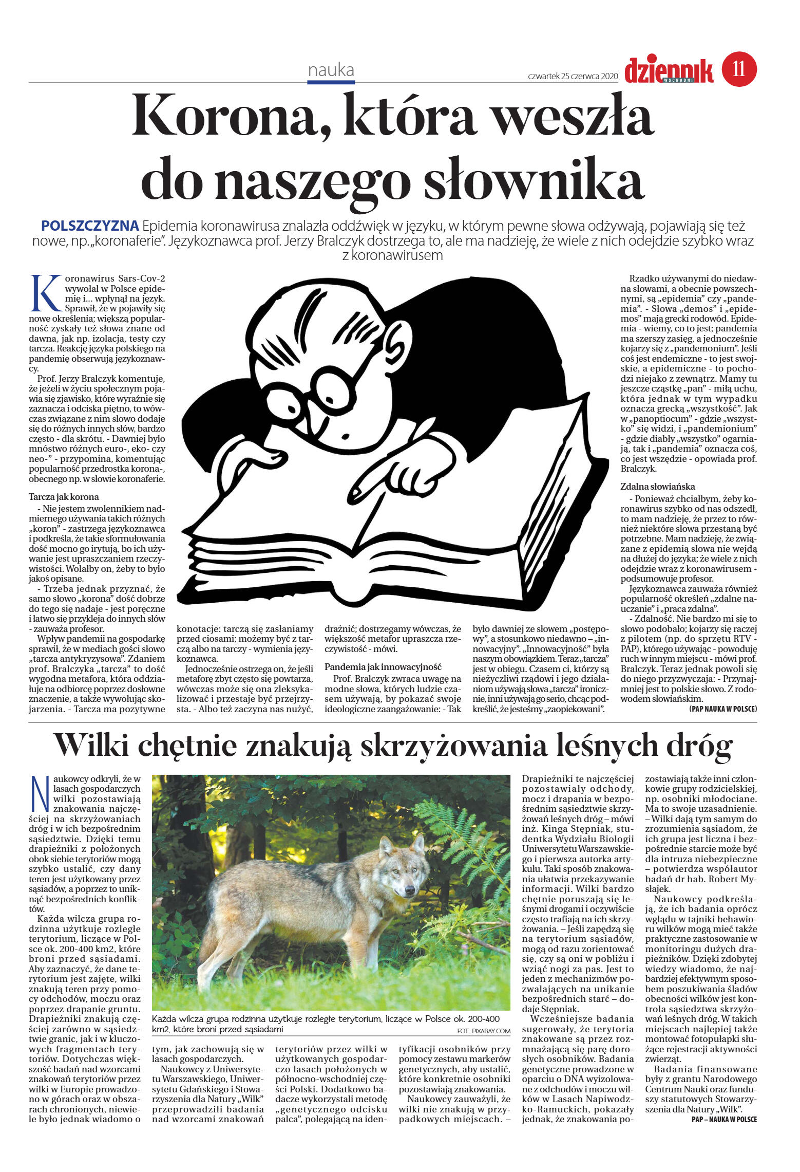 Wydanie główne - strona 11