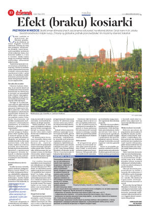 Wydanie główne - strona 10