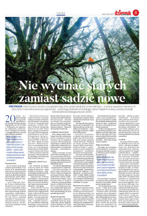 Wydanie główne - strona 11