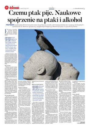 Wydanie głóne - strona 10