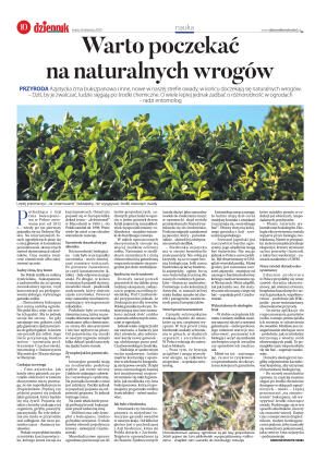 Wydanie główne - strona 10