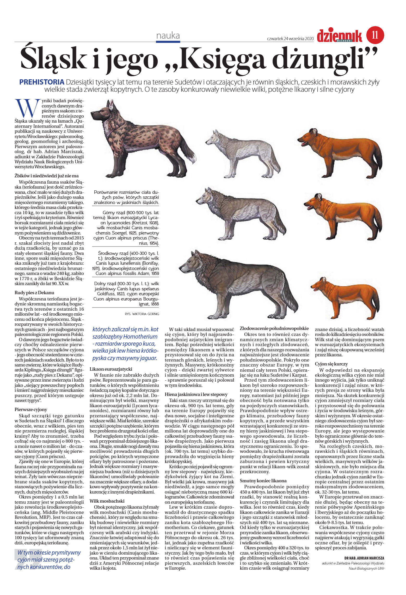 Wydanie główne - strona 11