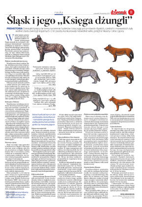 Wydanie główne - strona 11