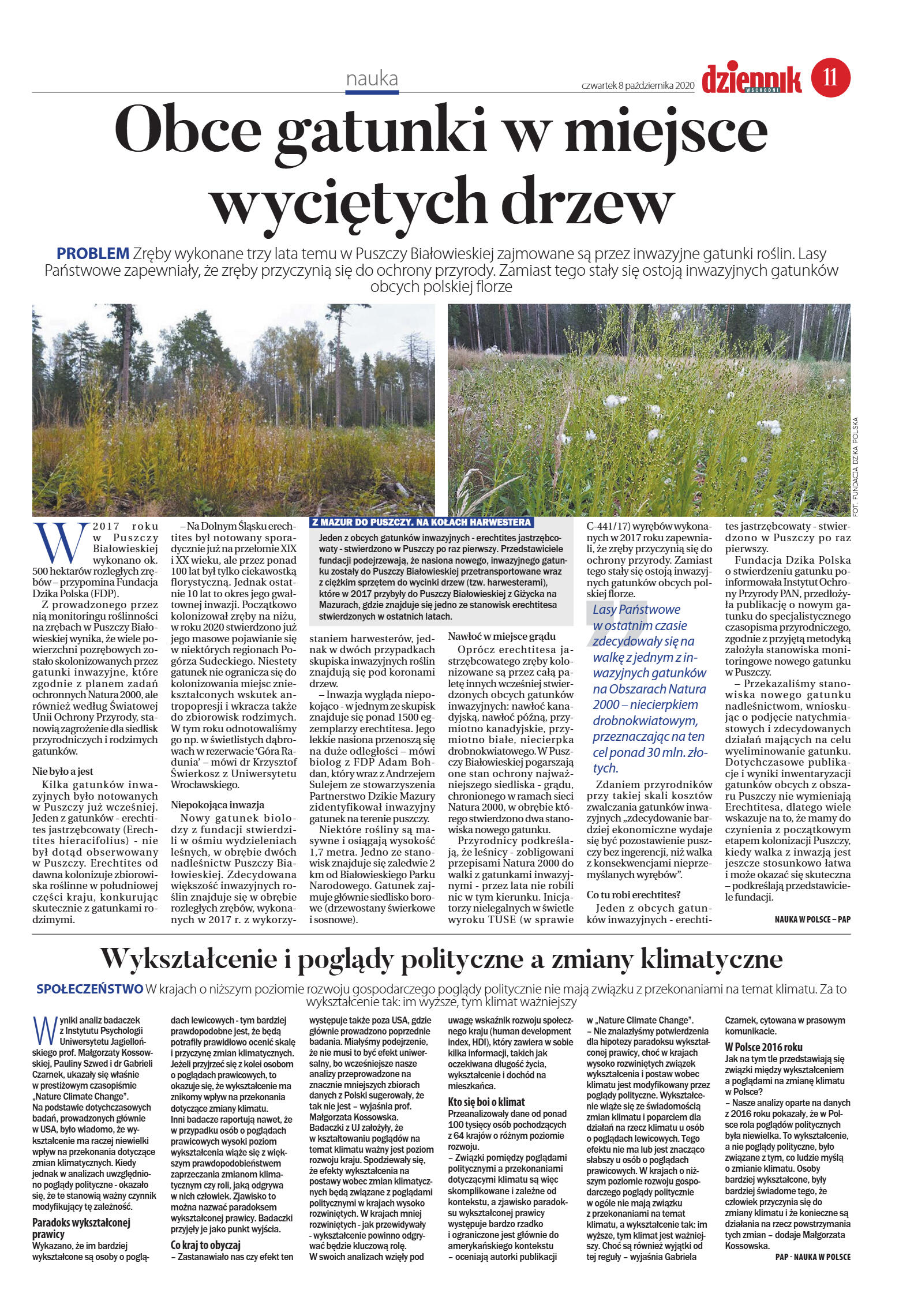 Wydanie główne - strona 11