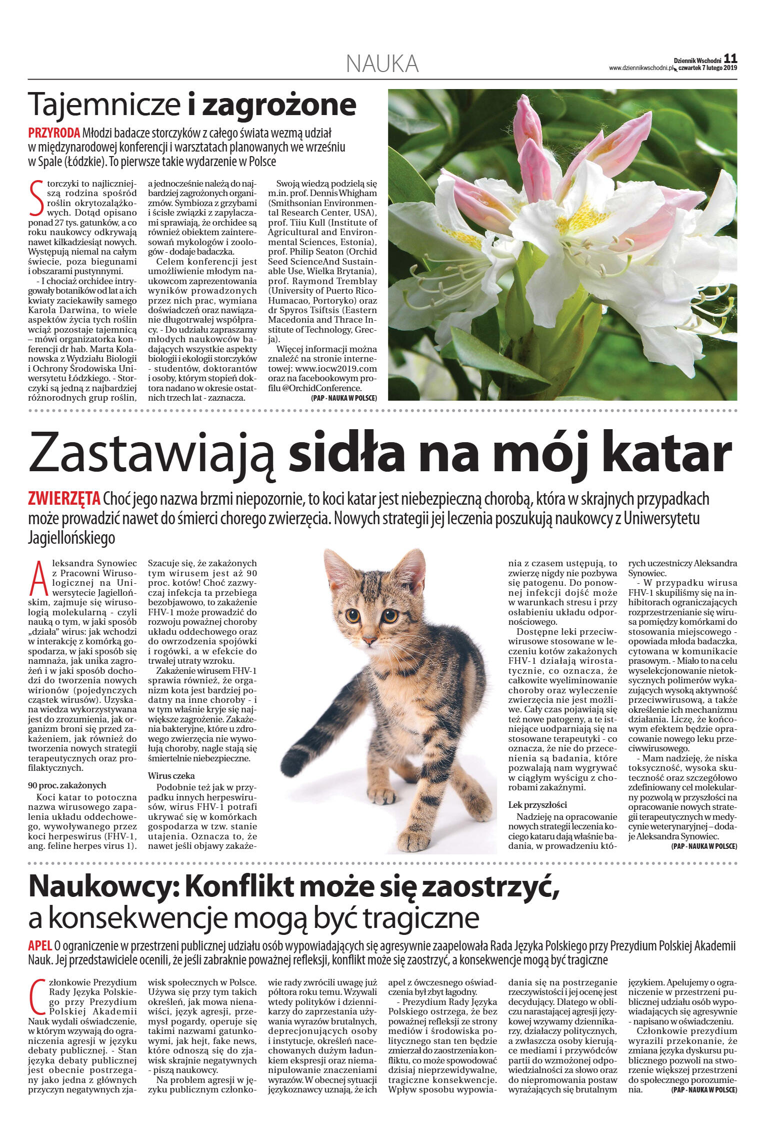 Wydanie główne - strona 11