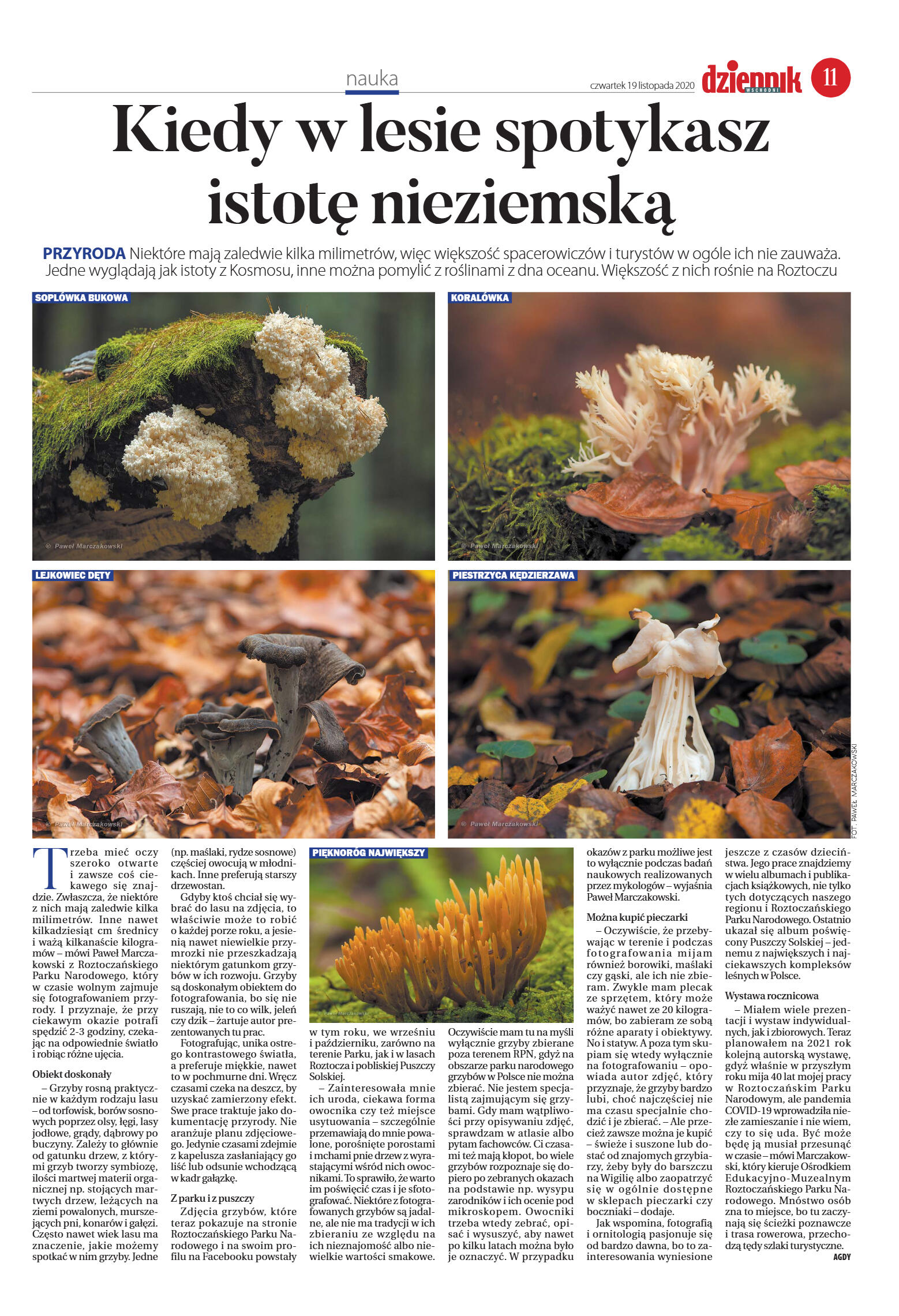Wydanie główne - strona 11