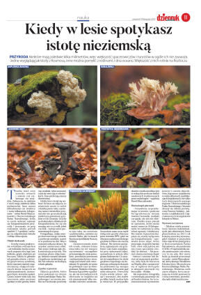 Wydanie główne - strona 11