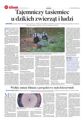 Wydanie główne - strona 10