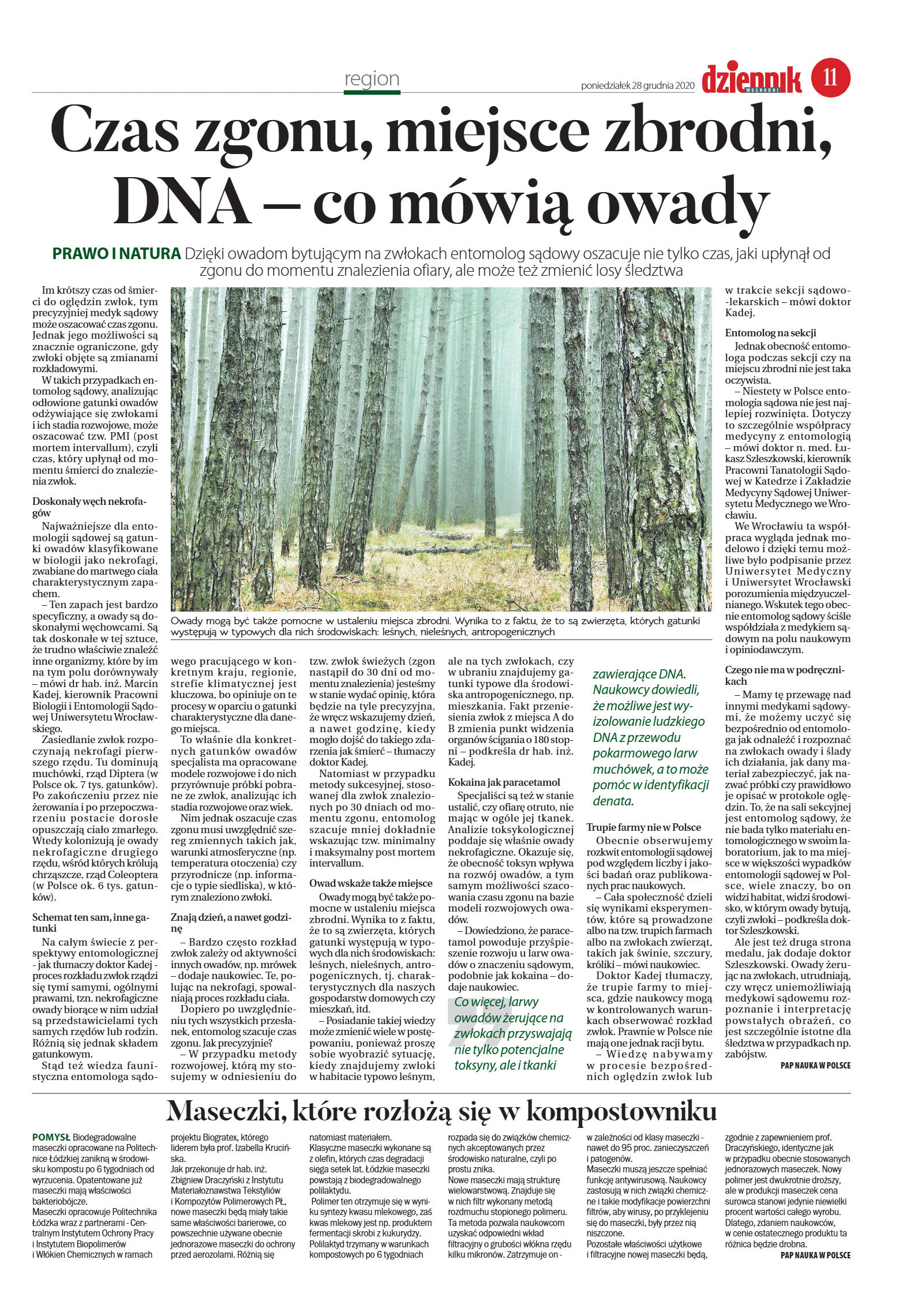 Wydanie główne - strona 11