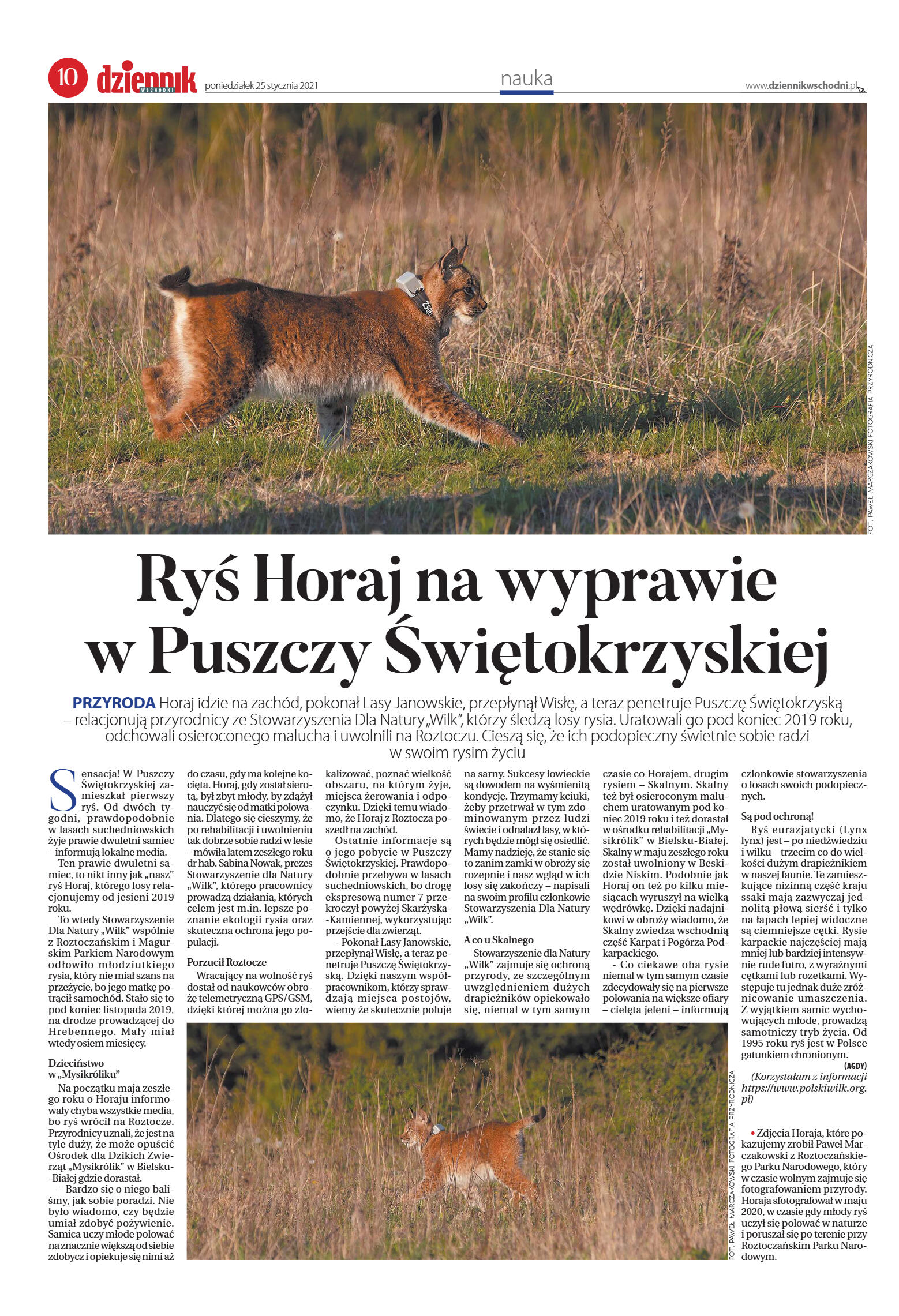 Wydanie główne - strona 10