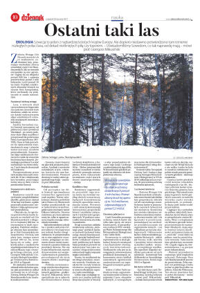 Wydanie główne - strona 10