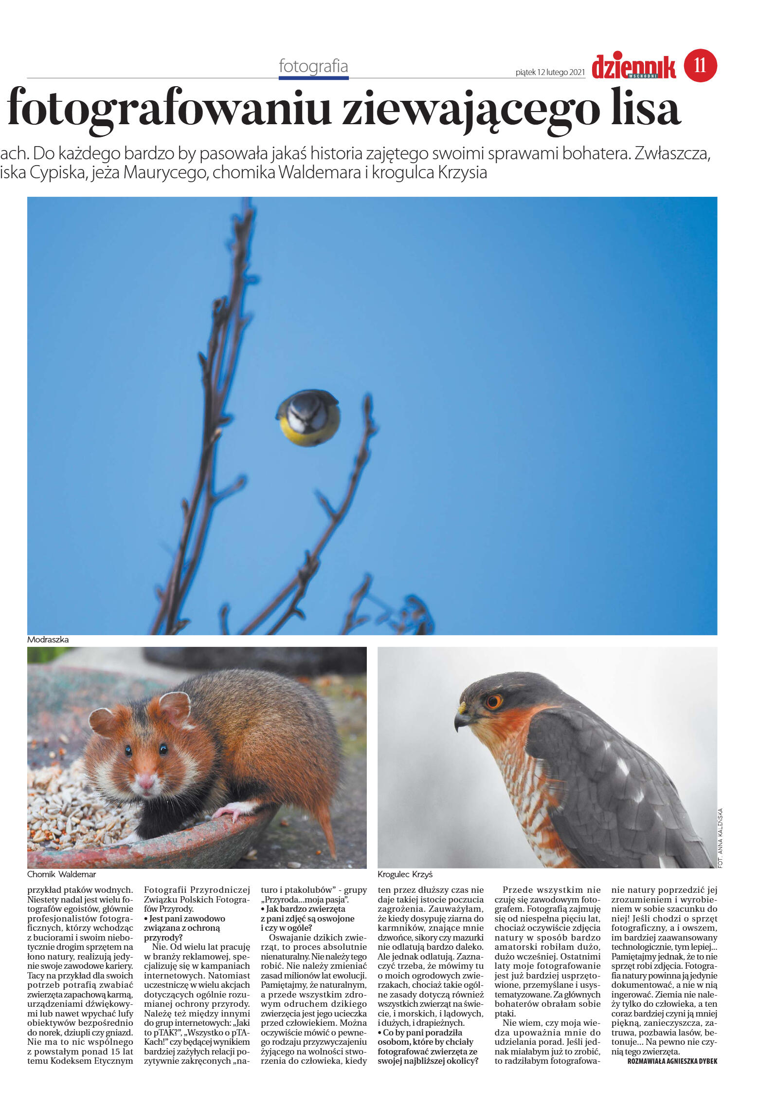 Wydanie główne - strona 11