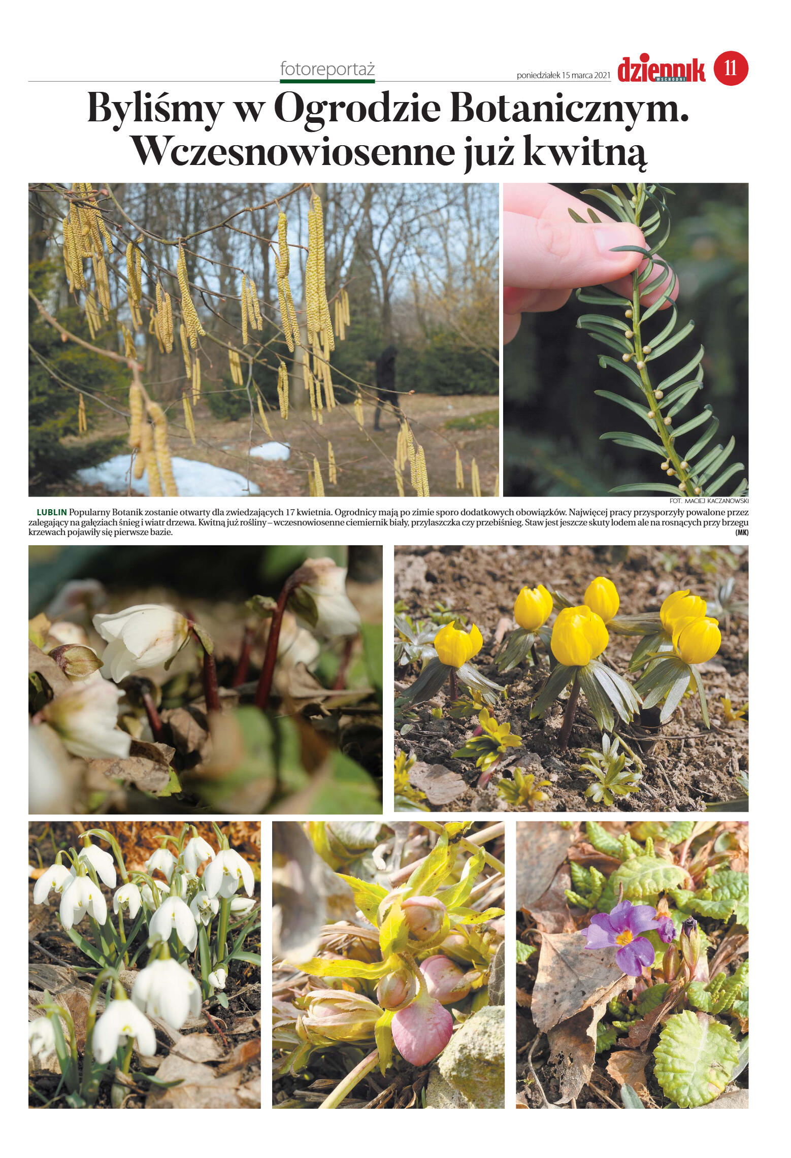 Wydanie główne - strona 11