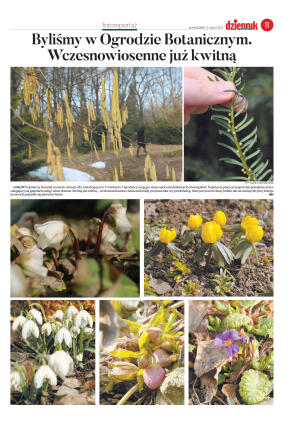 Wydanie główne - strona 11