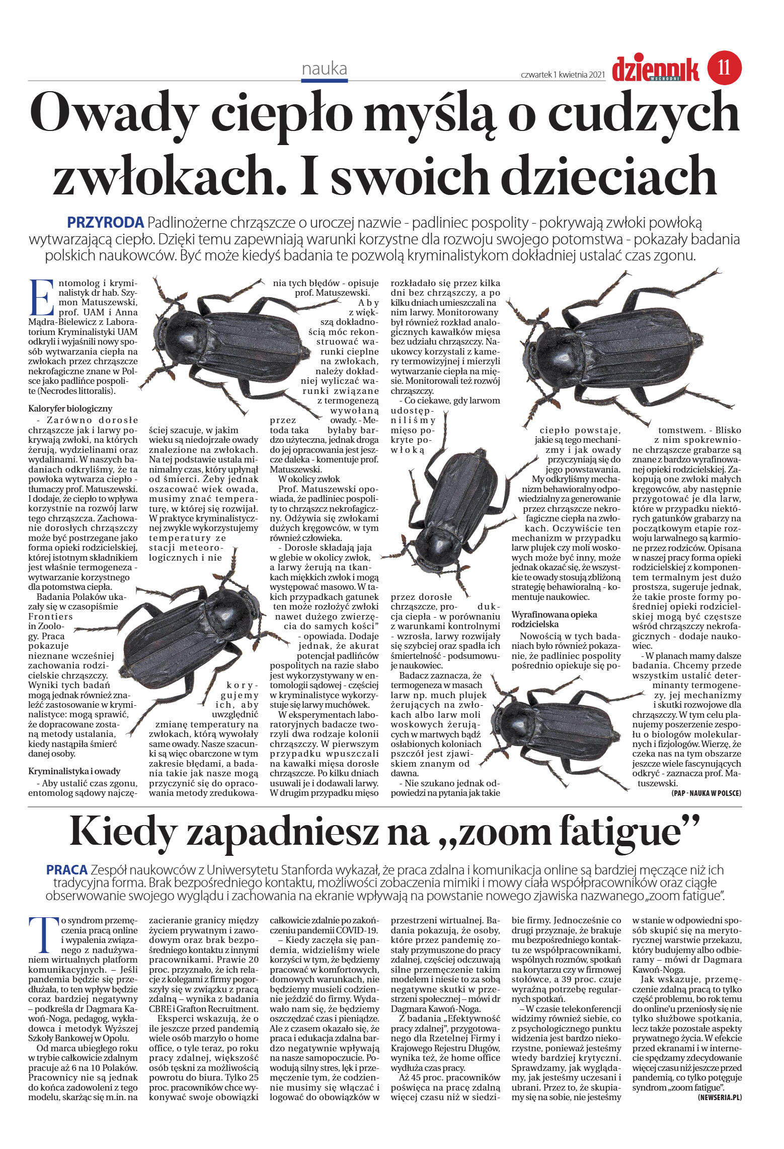 Wydanie główne - strona 11