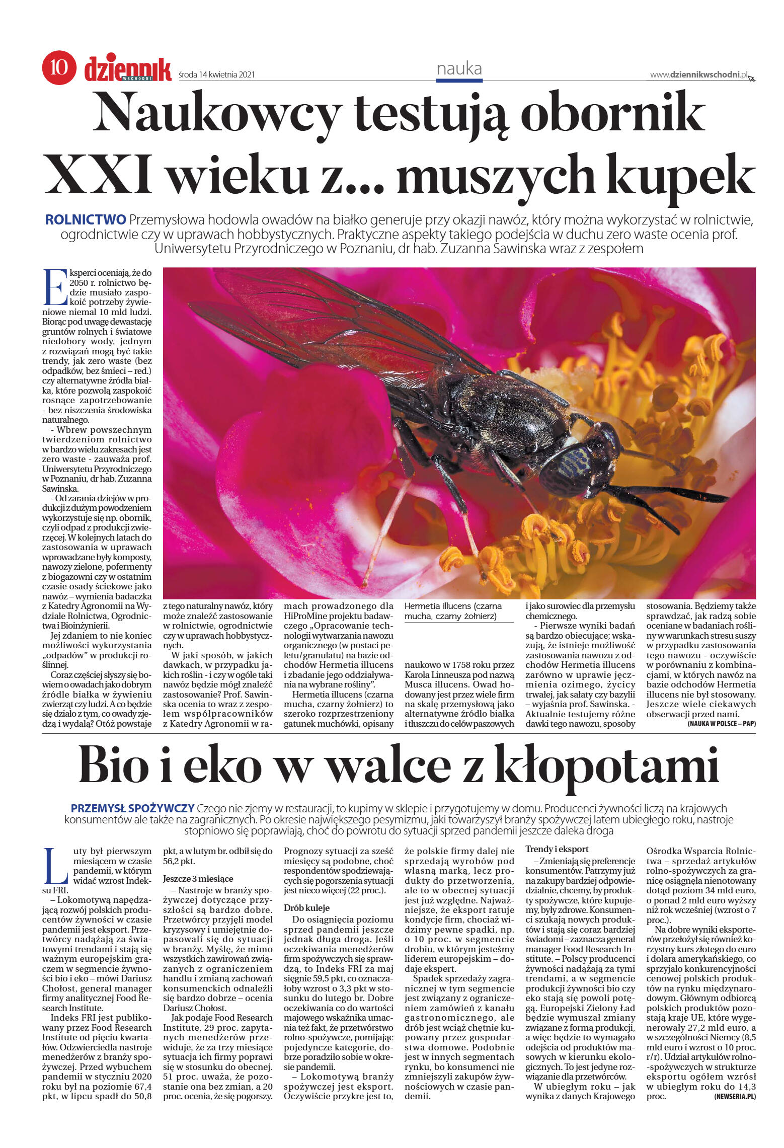 Wydanie główne - strona 10