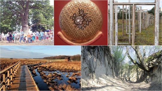 Co Ty wiesz o Lubelskiem? Quiz wiedzy ogólnej