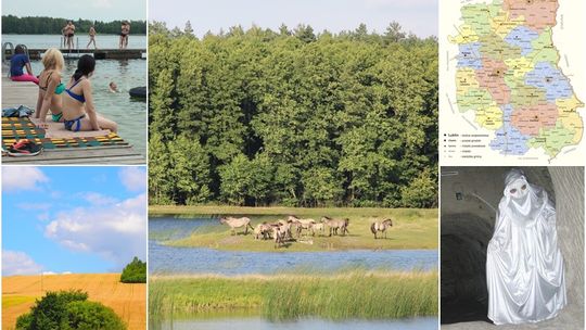 Jak dobrze znasz Lubelskie. Quiz geograficzny