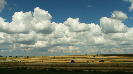 Lubelskie miasta i ich tajemnice: znasz je wszystkie?