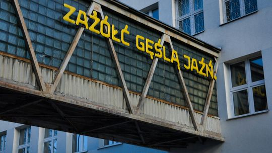 Polski język - trudna język. Tylko niecałe 50 proc. ma szanse na bezbłędne odpowiedzi