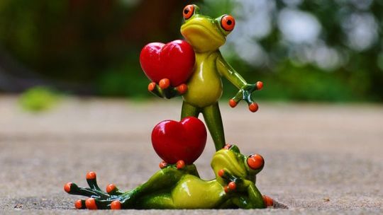 Quiz walentynkowy nie tylko dla zakochanych