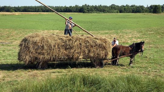 Sprawdź, czy możesz zostać prawdziwym rolnikiem
