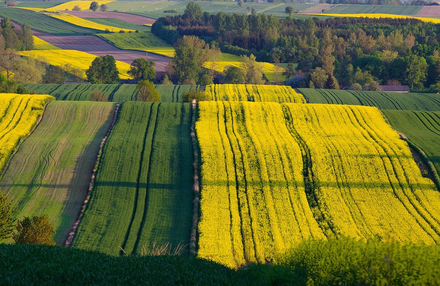 Lubelskie rekordy: znasz dobrze swój region?