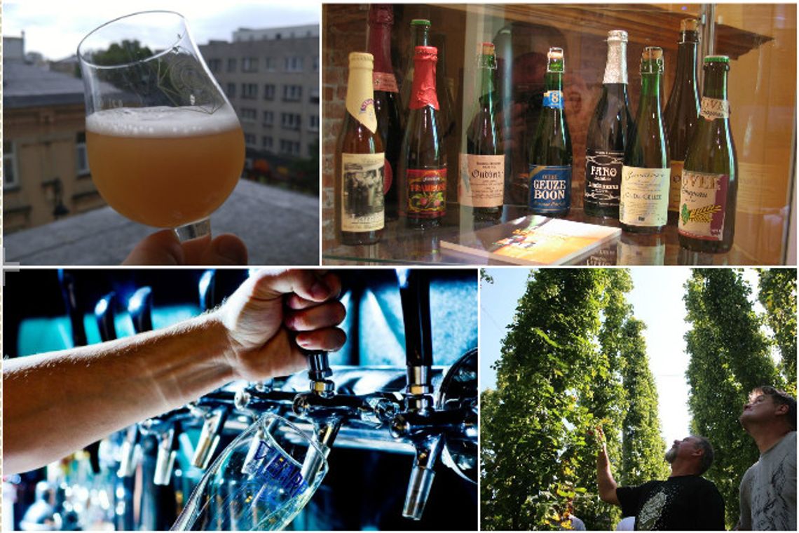 Czy jesteś piwnym ekspertem?