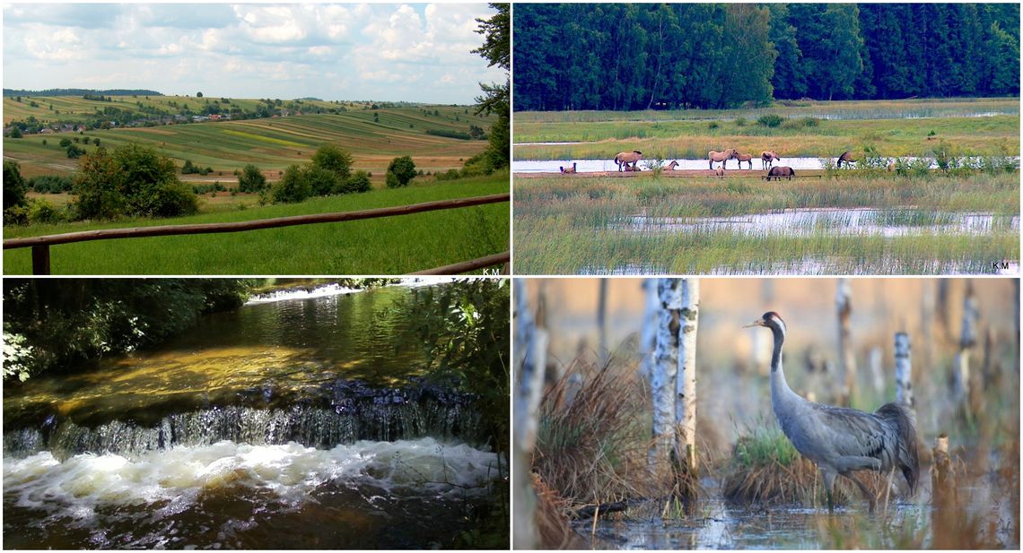 Dzień Ziemi 2025. Ile wiesz o swojej planecie i Lubelszczyźnie?