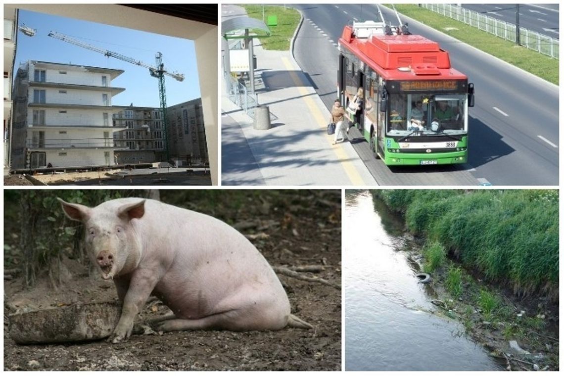 Dziwne liczby o Lublinie