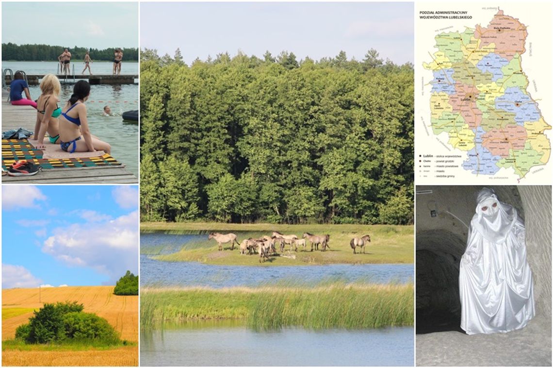 Jak dobrze znasz Lubelskie. Quiz geograficzny