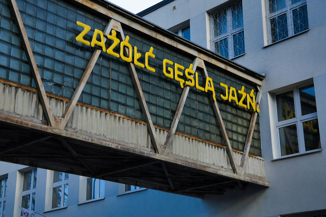 Polski język - trudna język. Tylko niecałe 50 proc. ma szanse na bezbłędne odpowiedzi