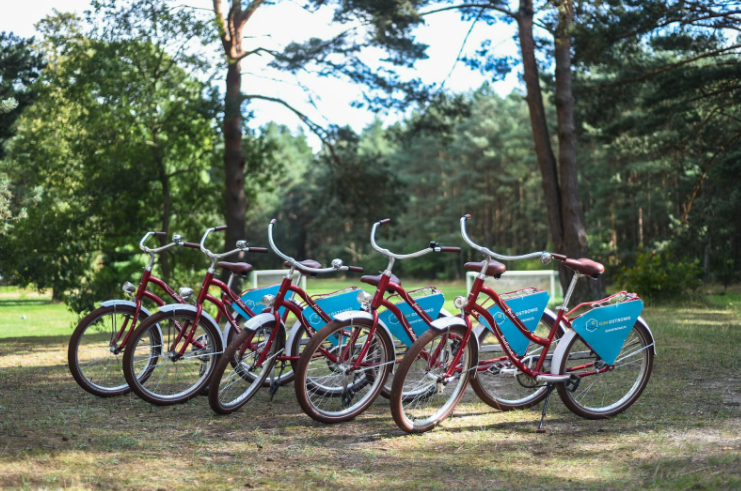 rowery do wypożyczenia