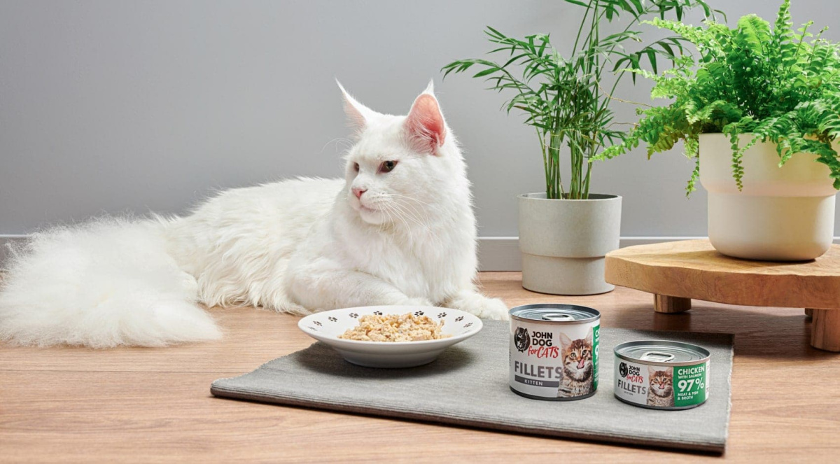 Mokra karma John Dog for cats