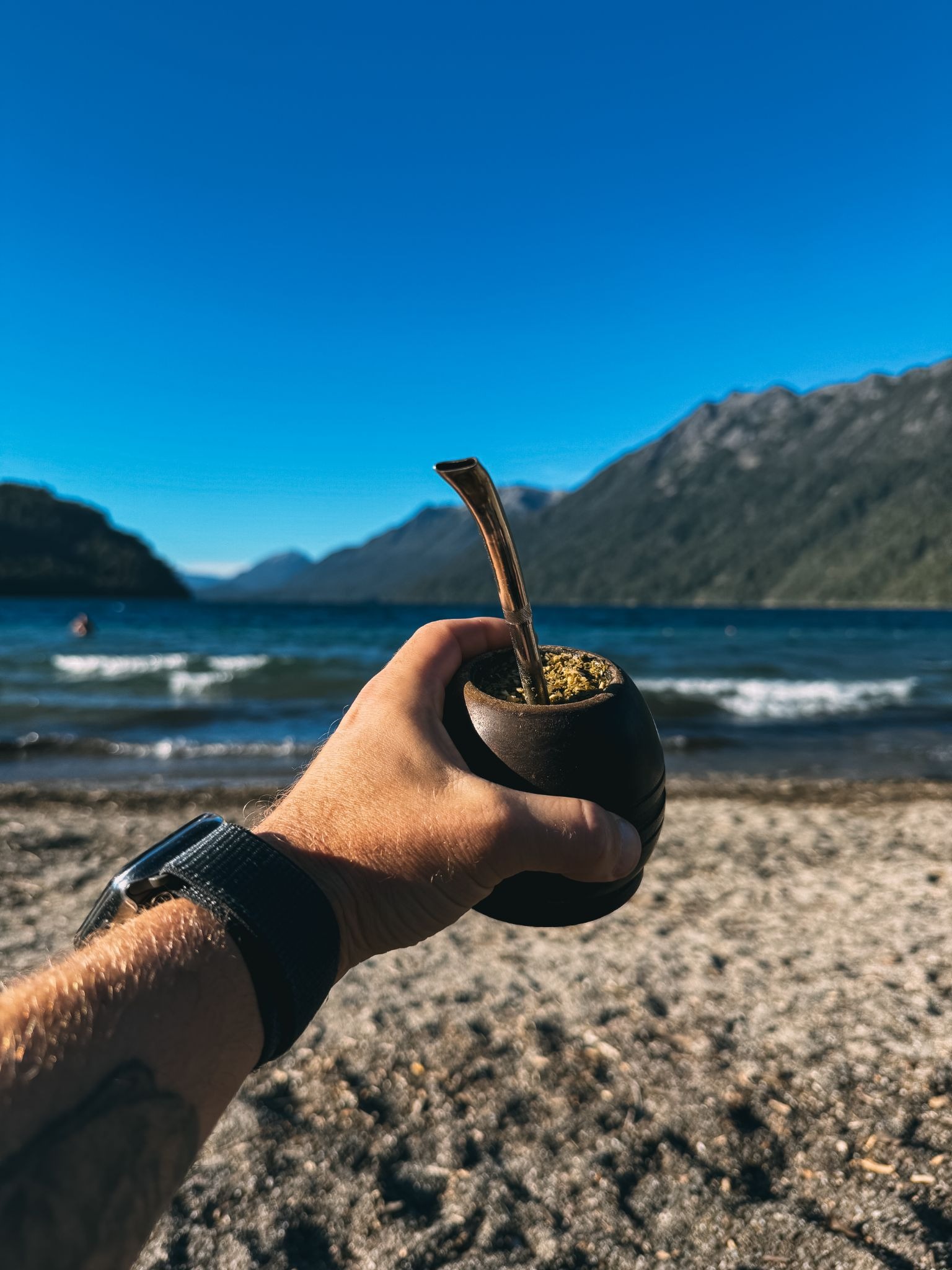 yerba mate